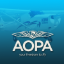 AOPA Student Pilot Special