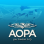 AOPA Student Pilot Special