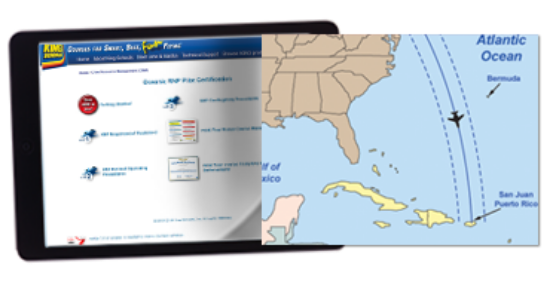Oceanic RNP Pilot Certification