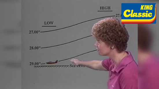 Aviation Weather Wise - (King Classic)