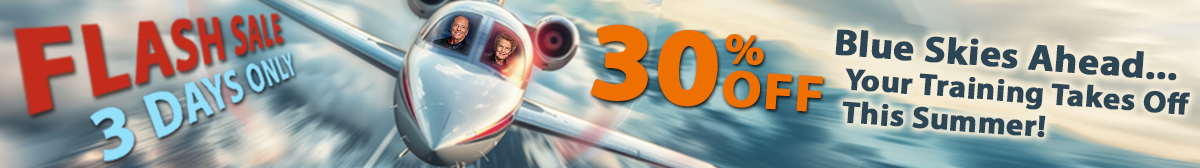 30% Off Flash Sale